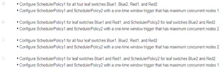 350-601 dumps exhibit